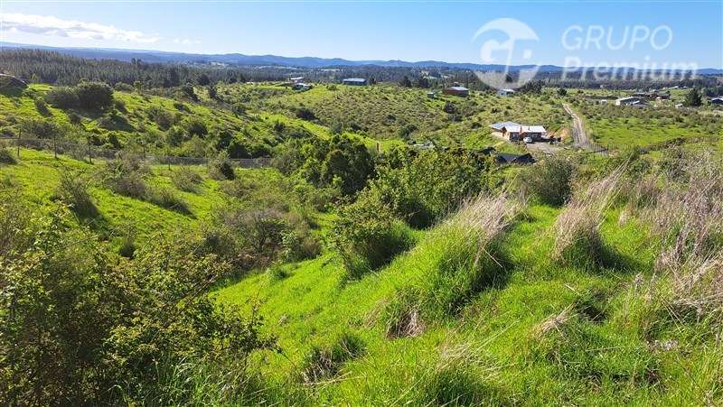 Parcela en venta a solo 8 Km. de la ciudad de Laja. - Imagen 5