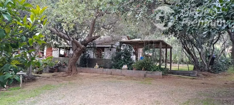 Parcela en venta en Lliu Lliu Limache