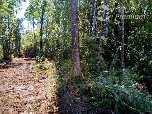 Sitio en venta en Puerto Montt - Imagen 4