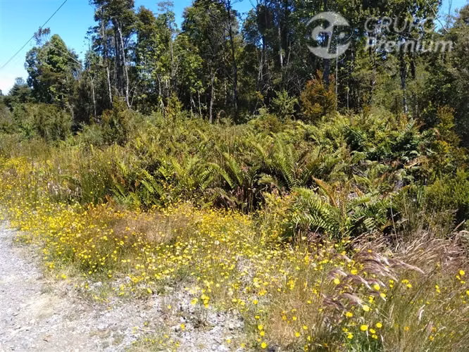 Sitio en venta en Puerto Montt