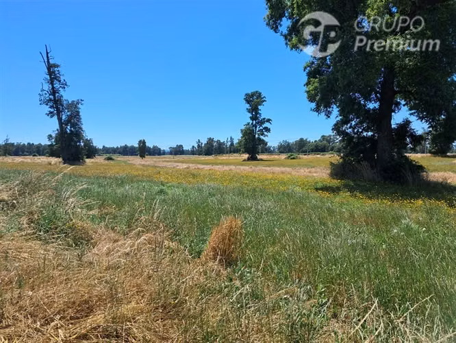 Parcela en venta en Purranque, región de los Lagos