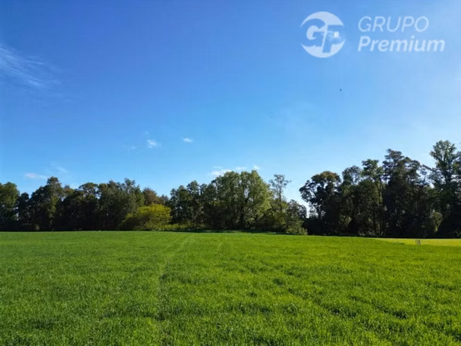 Parcela en venta en Purranque, región de los Lagos