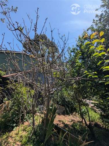 Venta de terreno en Lomas de Chorrillos,Viña del Mar - Imagen 22