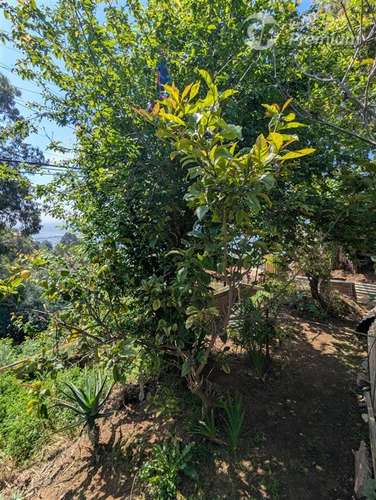 Venta de terreno en Lomas de Chorrillos,Viña del Mar - Imagen 32
