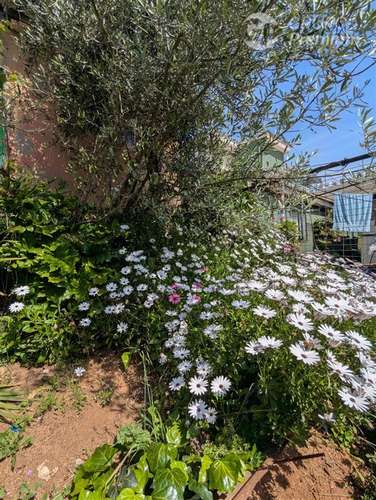 Venta de terreno en Lomas de Chorrillos,Viña del Mar - Imagen 20