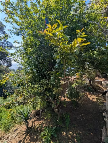 Venta de terreno en Lomas de Chorrillos,Viña del Mar