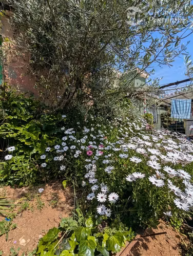 Venta de terreno en Lomas de Chorrillos,Viña del Mar