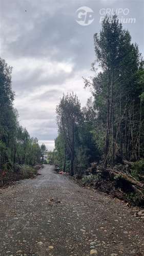 Parcelas en venta en Hualaihue - Imagen 8