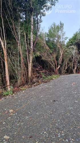 Parcelas en venta en Hualaihue - Imagen 4