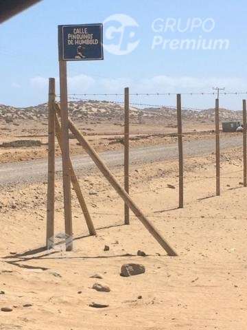 Parcela en venta 5057 m2 Sector Punta de Choros