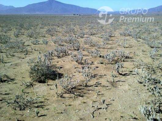 Parcela en venta 5057 m2 Sector Punta de Choros