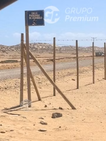 Parcela en venta 5057 m2 Sector Punta de Choros