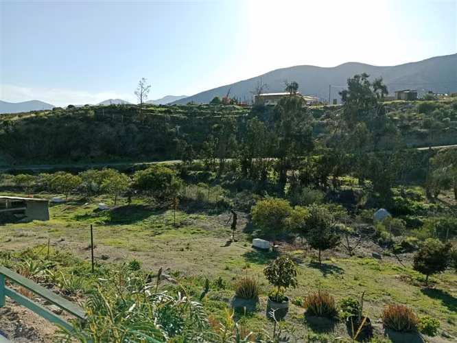Se vende Casa con terreno de 7400 m2 Valle del Elqui Serena