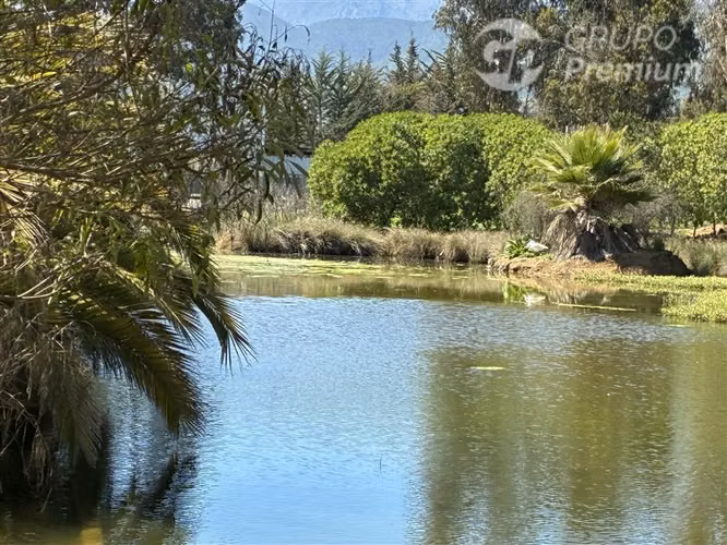 Excelente Parcela en venta en Zapallar