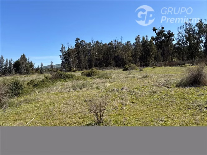Excelente Parcela en venta en Zapallar