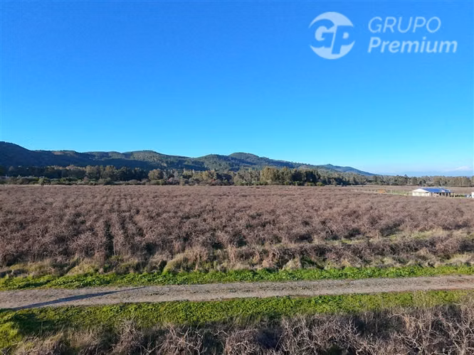Parcela en venta en San Javier - Imagen 8