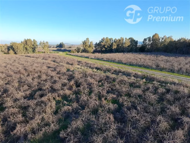 Parcela en venta en San Javier - Imagen 5