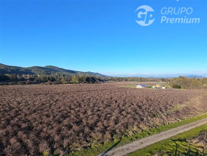 Parcela en venta en San Javier - Imagen 7