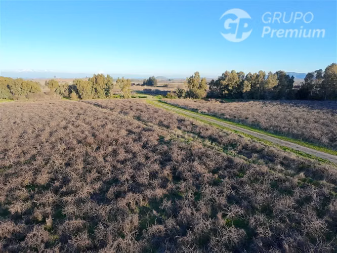 Parcela en venta en San Javier - Imagen 3