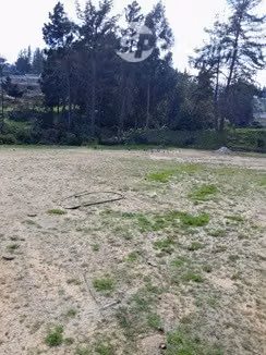 Venta terreno zona industrial, reñaca alto en Viña del Mar