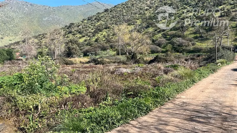 Vendo sitio eriazo Paine 6370 m2 buen terreno costado camino