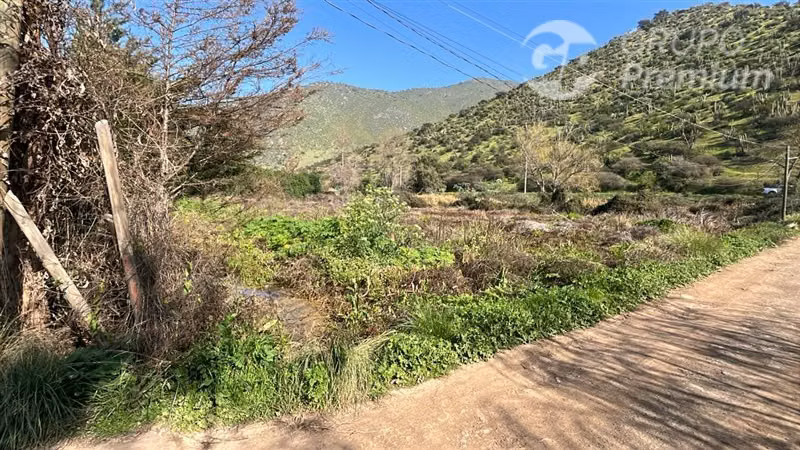 Vendo sitio eriazo Paine 6370 m2 buen terreno costado camino - Imagen 8