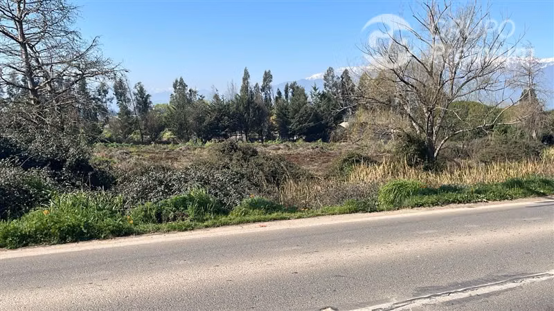 Vendo sitio eriazo Paine 6370 m2 buen terreno costado camino