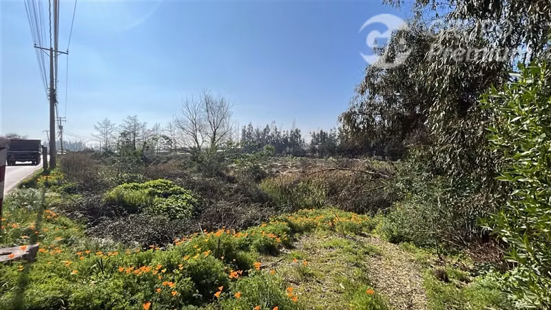 Vendo sitio eriazo Paine 6370 m2 buen terreno costado camino