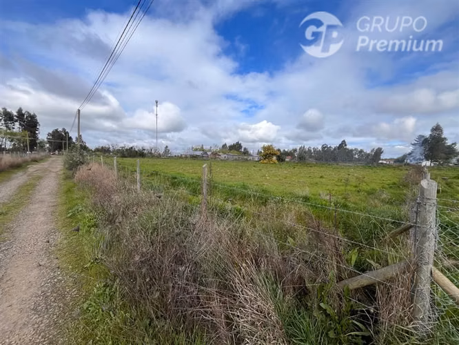Parcelas en venta en Pelarco 5000mts2 - Imagen 2