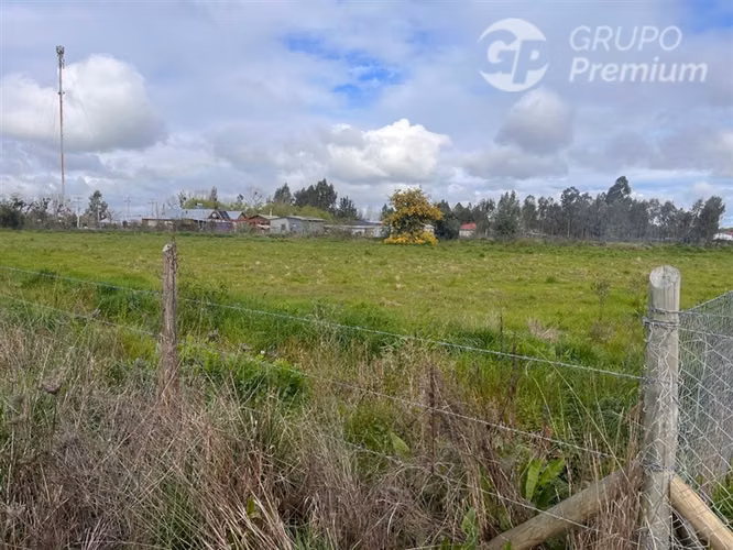 Parcelas en venta en Pelarco 5000mts2 - Imagen 3