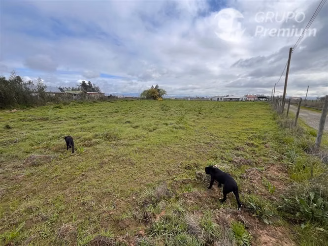 Parcelas en venta en Pelarco 5000mts2 - Imagen 4