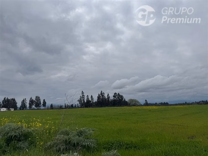 Agrícola en venta en Peralillo