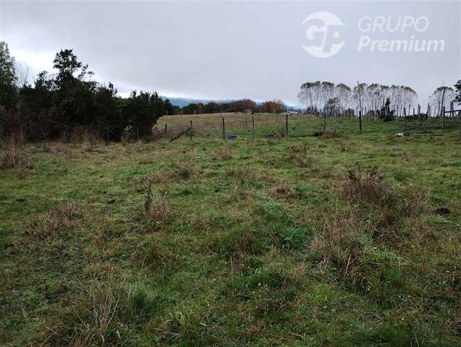 Parcela en venta en Río Bueno 1a orillas de lago Puyehue