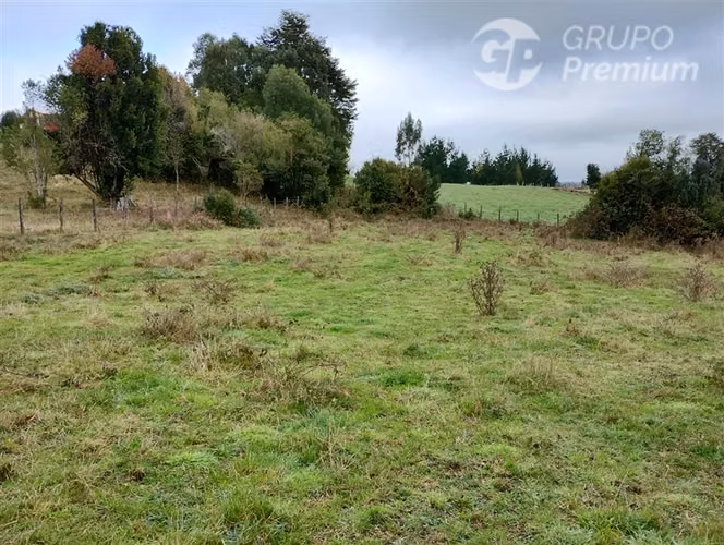 Parcela en venta en Río Bueno 1a orillas de lago Puyehue