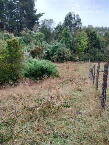 Parcela en venta en Río Bueno 1a orillas de lago Puyehue