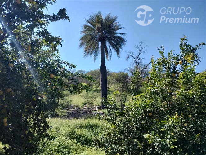 Excelente Parcela en venta en Oasis de La Campana Hijuelas