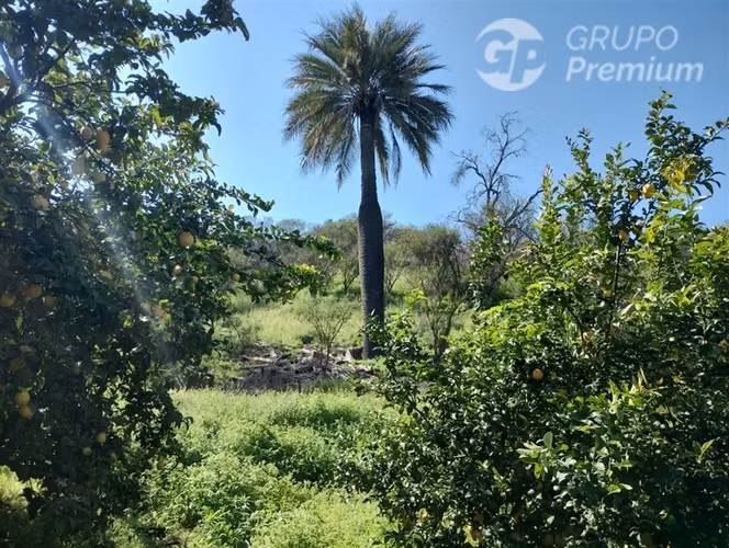 Excelente Parcela en venta en Oasis de La Campana Hijuelas - Imagen 6