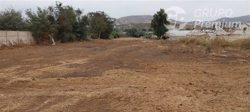 Terreno Construccion en Venta en Limache