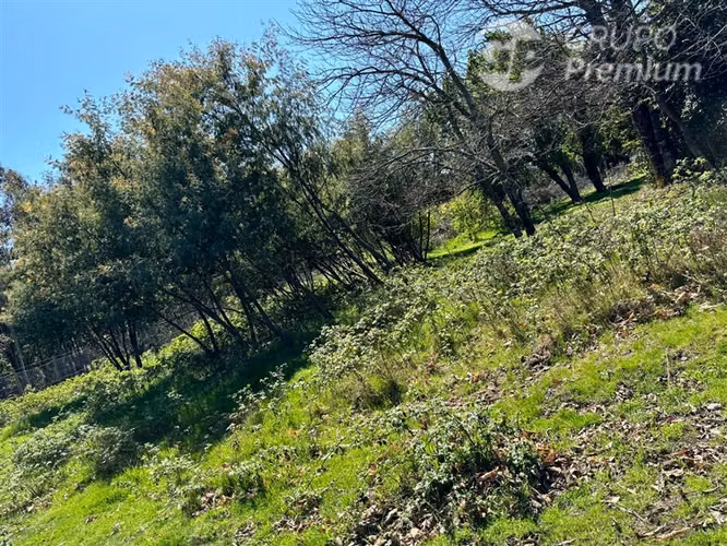 Parcela en venta en Los Angeles
