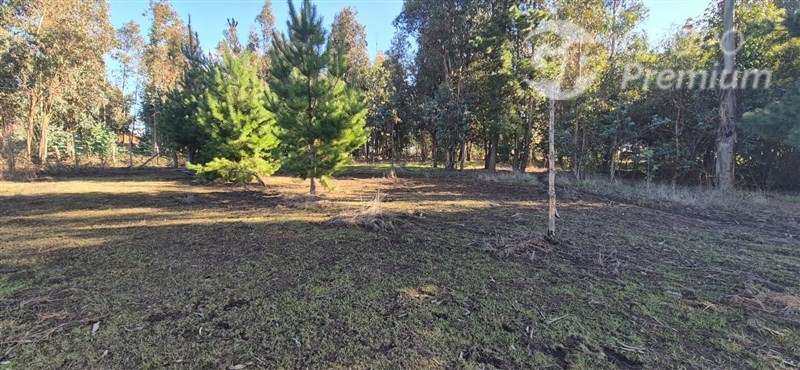 Parcela en venta en Los Angeles - Imagen 12