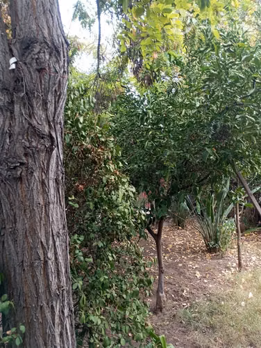 Departamento con patio en venta de 3 dorm. en Puente Alto