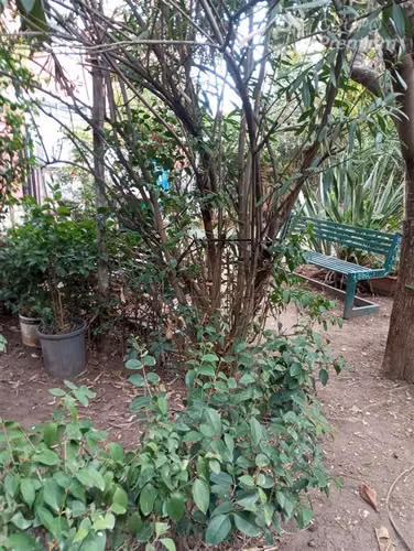 Departamento con patio en venta de 3 dorm. en Puente Alto