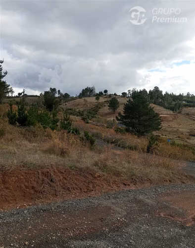 Vende amplia parcela en Paredones, descuento especial