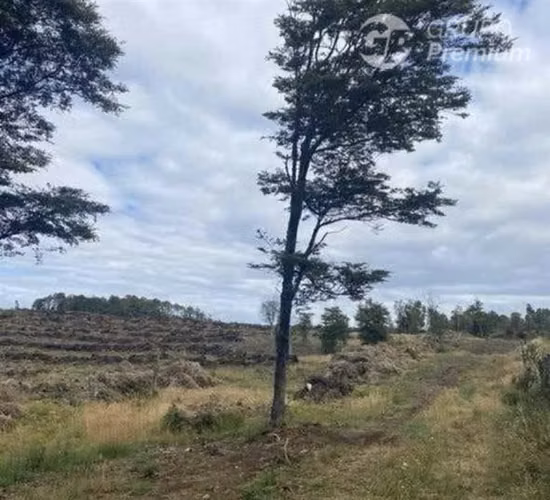 2 Parcelas en venta en Curahue a 3o minutos de Castro 5000m2
