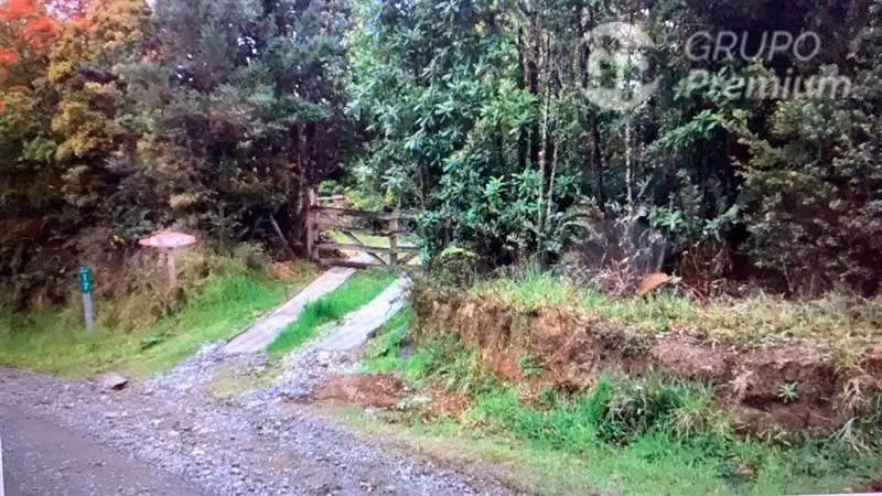 Parcela con 7 hectáreas en venta en Ancud Pumillahue
