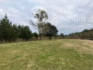 Parcela en venta en Ancud cercano a Rio Chepu