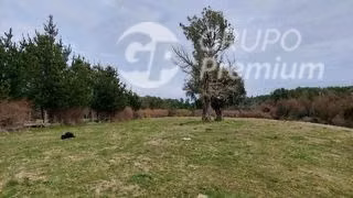 Parcela en venta en Ancud cercano a Rio Chepu