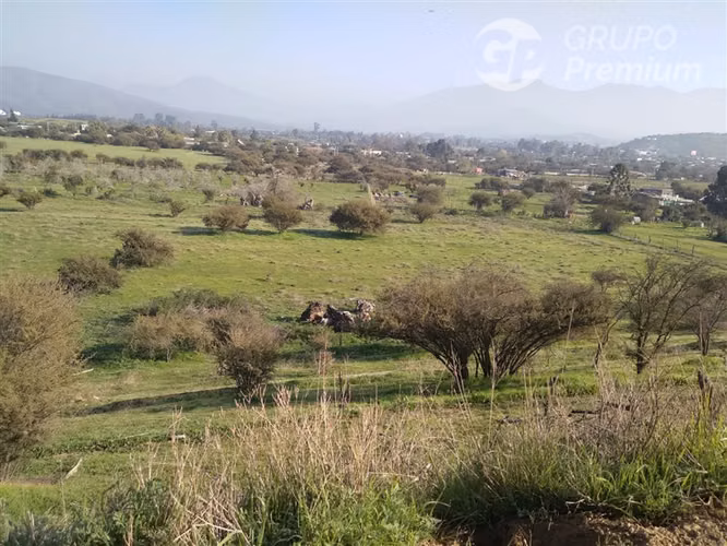 Sitio en venta en Curacaví
