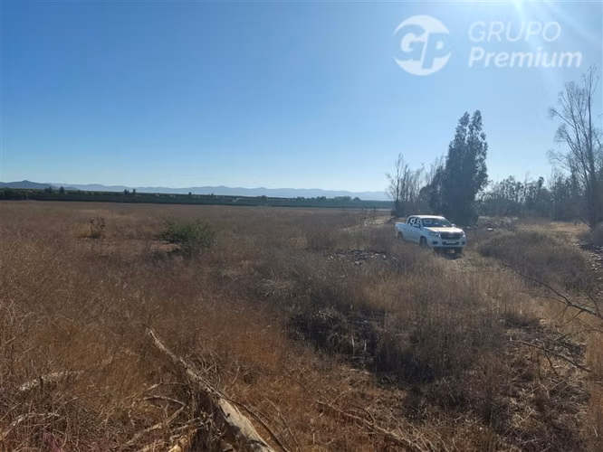 Terreno Agrícola Plano 37,75 Há con Agua Sector Los Olivos - Imagen 8