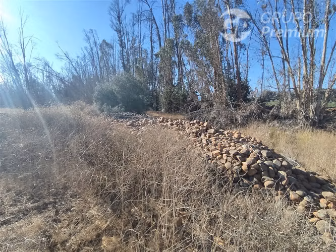 Se vende Gran Terreno Agrícola de 37,6 Hectárareas en Ovalle